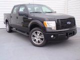 2014 Ford F150 STX SuperCrew Front 3/4 View