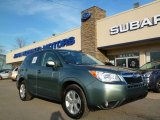 Jasmin Green Metallic Subaru Forester in 2014