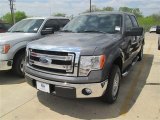 2014 Sterling Grey Ford F150 XLT SuperCrew #92038550