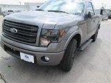 2014 Ford F150 FX2 Tremor Regular Cab