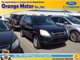 2004 Eternal Blue Pearl Honda CR-V EX 4WD #92038777