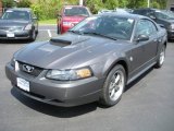 2004 Dark Shadow Grey Metallic Ford Mustang GT Coupe #9197065