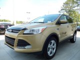 2014 Karat Gold Ford Escape SE 1.6L EcoBoost #92138204