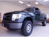 2014 Green Gem Ford F150 XL Regular Cab #92138192