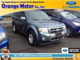 2012 Steel Blue Metallic Ford Escape Limited 4WD #92343958