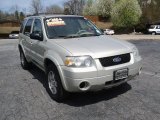 2005 Gold Ash Metallic Ford Escape Limited 4WD #92388887