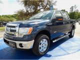 2014 Blue Jeans Ford F150 XLT SuperCrew 4x4 #92433659