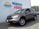 2010 Urban Titanium Metallic Honda CR-V EX-L AWD #92434081