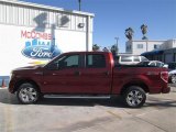 2014 Sunset Ford F150 STX SuperCrew #92522028