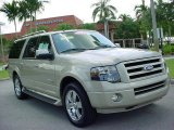 2007 Pueblo Gold Metallic Ford Expedition EL Limited #9236684