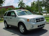 2009 Brilliant Silver Metallic Ford Escape XLT V6 #9236695