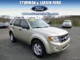 2010 Gold Leaf Metallic Ford Escape XLT V6 4WD #92652104