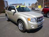 2011 Ford Escape Limited V6 4WD Front 3/4 View