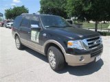 Tuxedo Black Ford Expedition in 2014