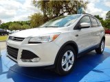 2014 Ingot Silver Ford Escape SE 2.0L EcoBoost #92789298