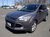 2013 Sterling Gray Metallic Ford Escape SEL 1.6L EcoBoost #92876058