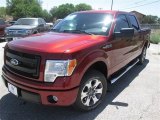 2014 Sunset Ford F150 STX SuperCrew #93006195