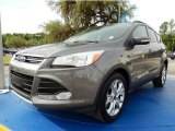 2013 Sterling Gray Metallic Ford Escape SEL 1.6L EcoBoost #93038681
