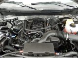 2014 Ford F150 XL Regular Cab 5.0 Liter Flex-Fuel DOHC 32-Valve Ti-VCT V8 Engine