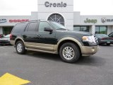 2013 Green Gem Ford Expedition XLT #93038928