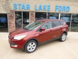 2014 Sunset Ford Escape SE 1.6L EcoBoost 4WD #93161804