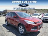 2014 Sunset Ford Escape SE 1.6L EcoBoost 4WD #93197546