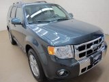 2009 Sterling Grey Metallic Ford Escape Limited V6 4WD #93197358