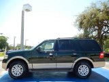 2014 Ford Expedition Green Gem