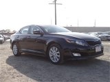 2014 Kia Optima EX