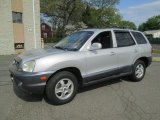 2004 Pewter Hyundai Santa Fe GLS 4WD #93246155
