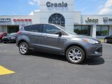 2013 Sterling Gray Metallic Ford Escape SEL 2.0L EcoBoost #93289129
