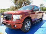 2014 Sunset Ford F150 STX SuperCrew #93337392