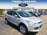 2014 Ingot Silver Ford Escape SE 1.6L EcoBoost #93440340