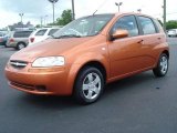 2007 Spicy Orange Chevrolet Aveo 5 LS Hatchback #9332892