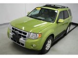 Lime Squeeze Metallic Ford Escape in 2012