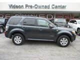 Tungsten Grey Metallic Mercury Mariner in 2008