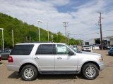 Ingot Silver Ford Expedition in 2014