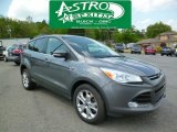 2013 Sterling Gray Metallic Ford Escape SEL 2.0L EcoBoost 4WD #93483051