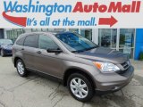 2011 Urban Titanium Metallic Honda CR-V SE 4WD #93523994