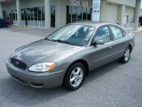 2004 Spruce Green Metallic Ford Taurus SES Sedan #9333444