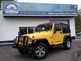 2004 Solar Yellow Jeep Wrangler X 4x4 #93566170