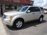 2012 Ford Escape XLS 4WD