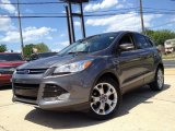 2013 Sterling Gray Metallic Ford Escape SEL 1.6L EcoBoost #93666953