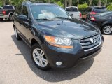 2010 Hyundai Santa Fe SE