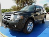 2014 Tuxedo Black Ford Expedition Limited 4x4 #93869798