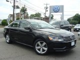 2012 Volkswagen Passat 2.5L SE
