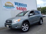 Everglade Metallic Toyota RAV4 in 2006