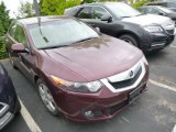 2010 Basque Red Pearl Acura TSX Sedan #94054424