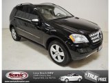 2010 Mercedes-Benz ML 350