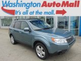 2009 Sage Green Metallic Subaru Forester 2.5 X Premium #94133541